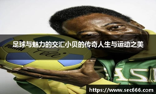 365WM完美体育官方app