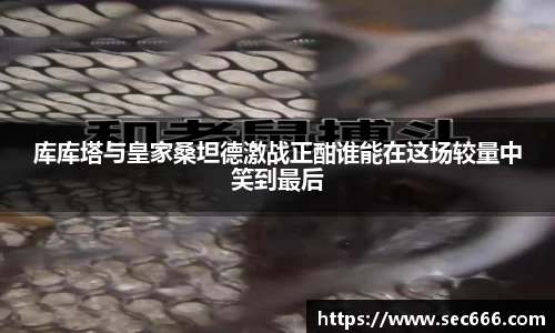 365WM完美体育官方app