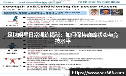 365WM完美体育官网