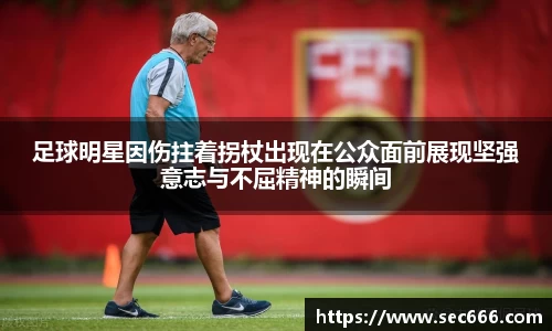 365WM完美体育官网