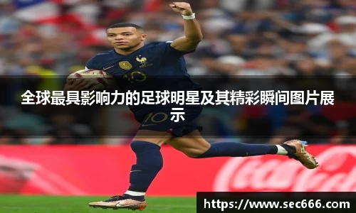 365WM完美体育官网