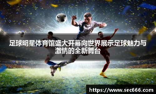 足球明星体育馆盛大开幕向世界展示足球魅力与激情的全新舞台